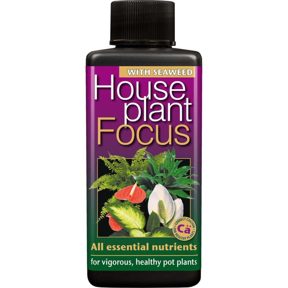 Houseplant Focus – Optimal Plantenæring for Alle Husplanter