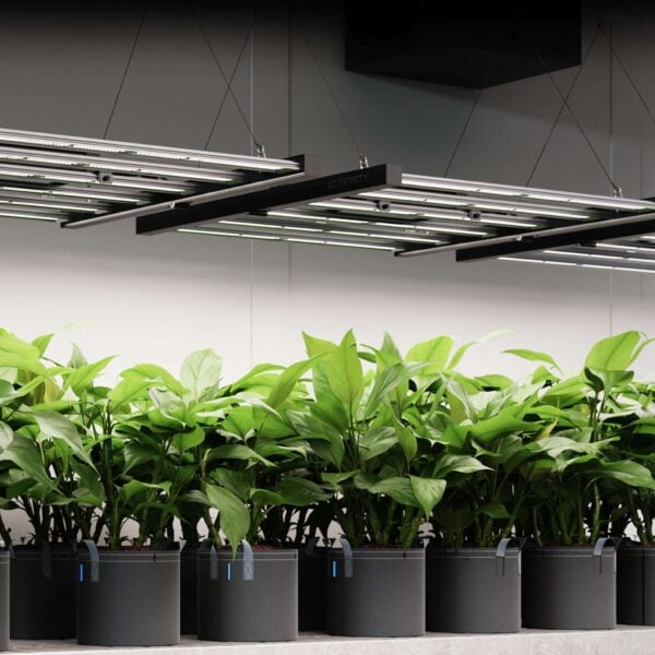 IONFRAME EVO4 – Samsung LM301H EVO LED Vekstlys 300W (90×90 cm) - Image 8