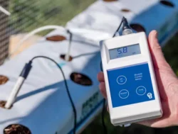 Bluelab Combo Meter Plus måler pH i en dyrkesekk med kokos