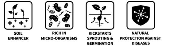 Worm Delight black 1