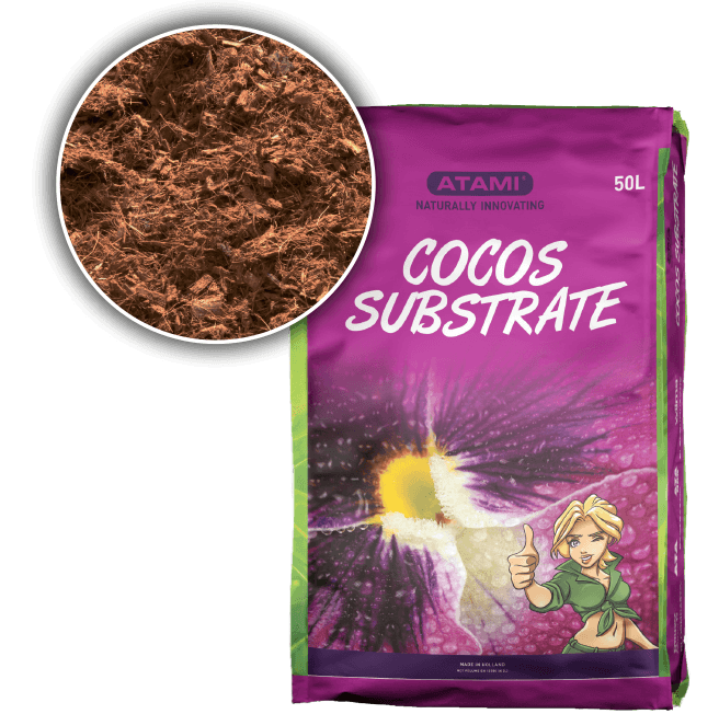 Cocos Substrate dyrkeland